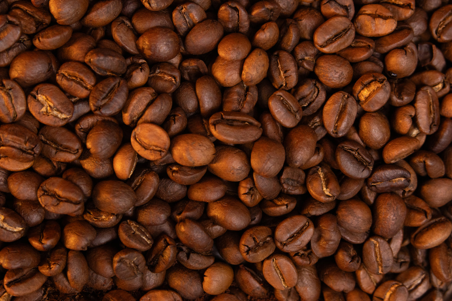 collection-banner-image