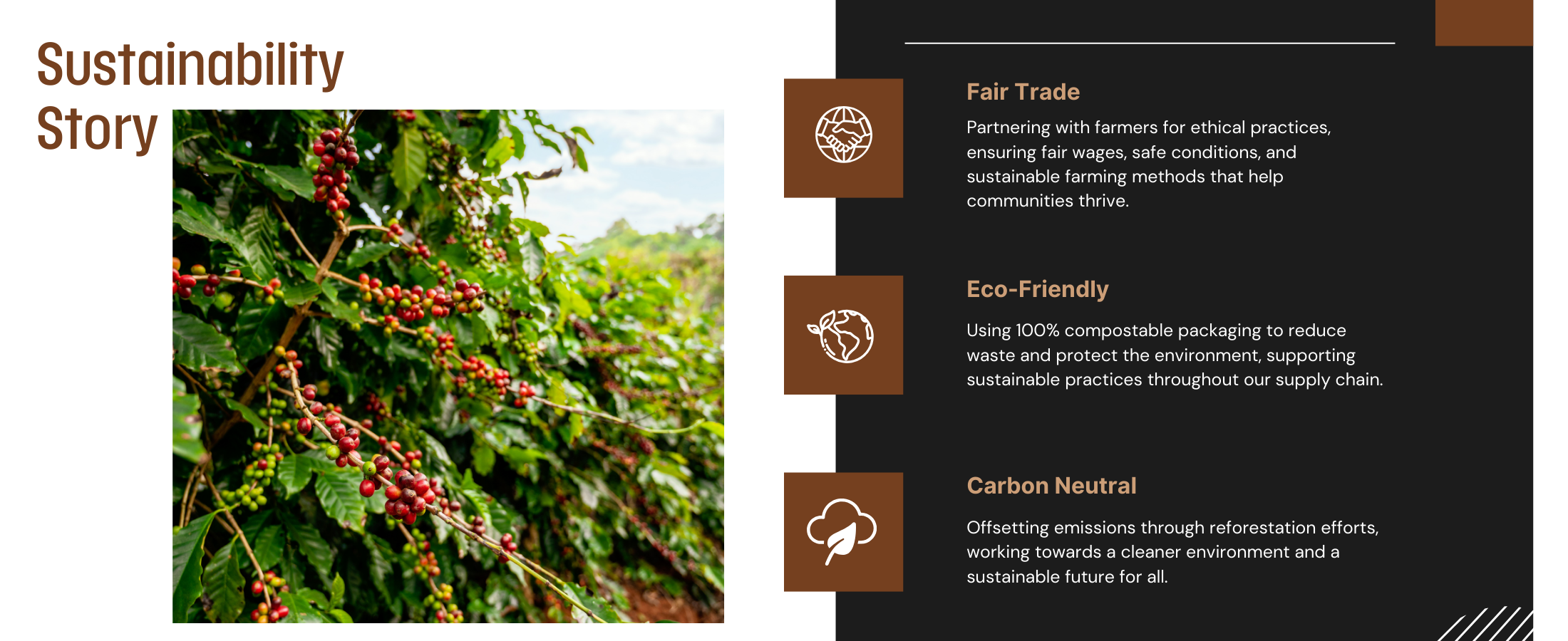 slider image slider_item_7jNtLj